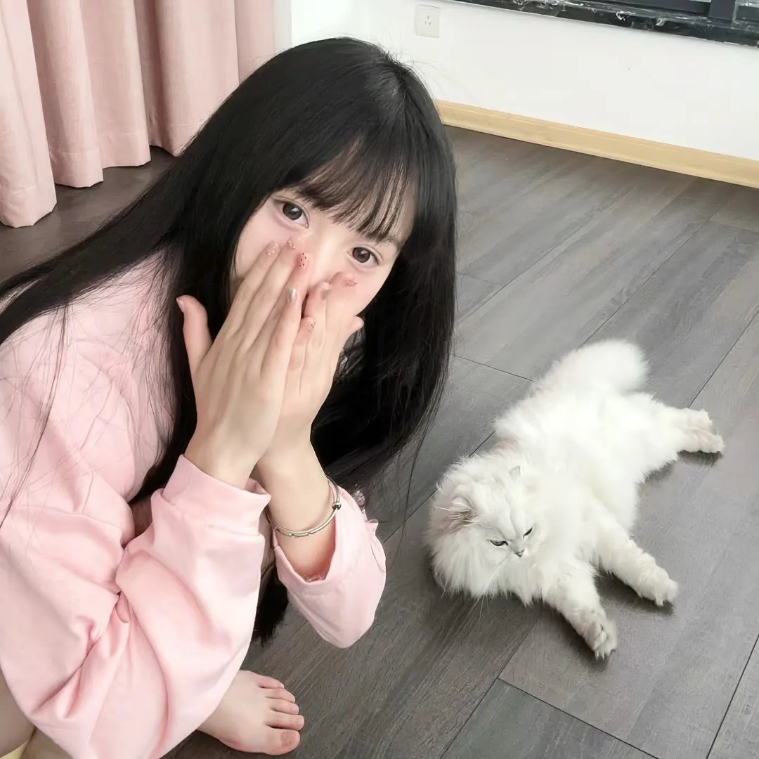 怪化猫