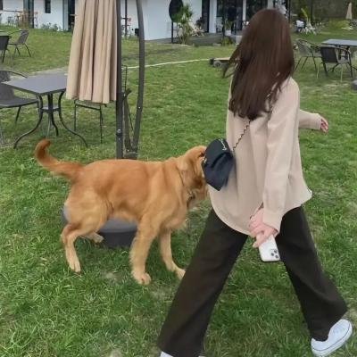 教会与国家