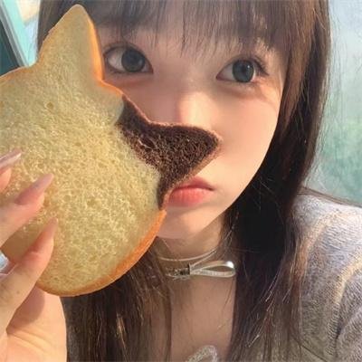 骑军血战史